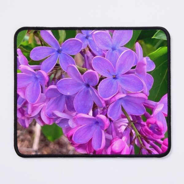 Item preview, Lilac designed and sold by Courtney Croxall.