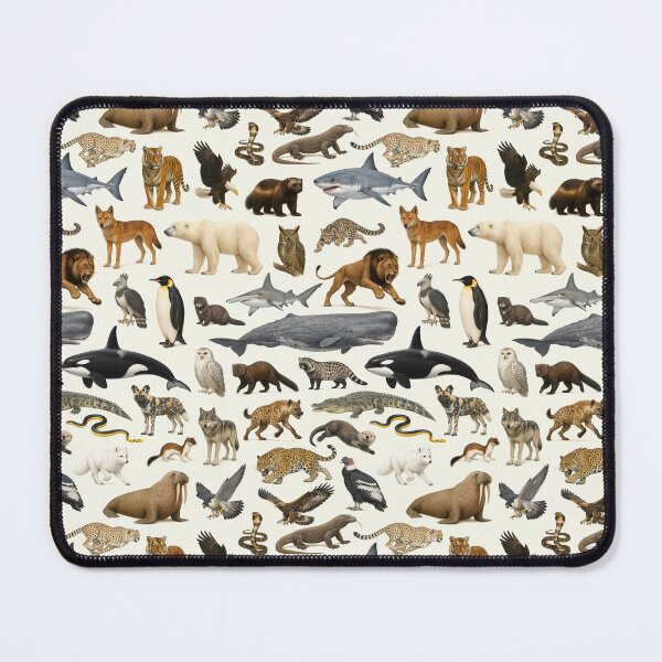 Item preview, Carnivores of the World Retro Style Identification Chart designed and sold by kakarikihill.