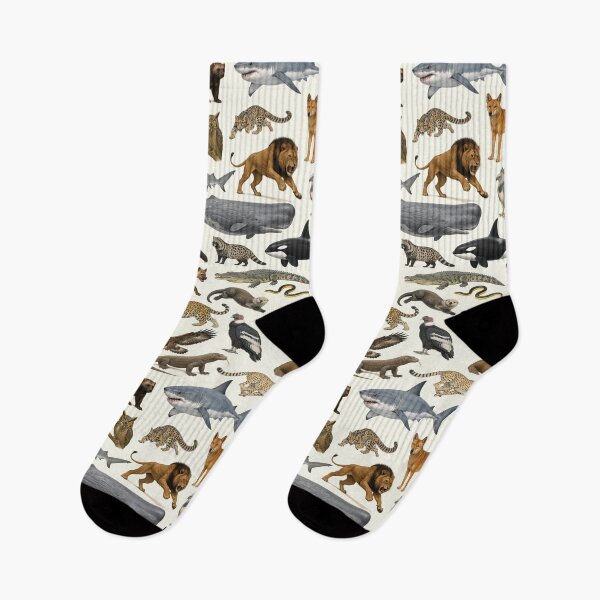 Item preview, Carnivores of the World Retro Style Identification Chart designed and sold by kakarikihill.