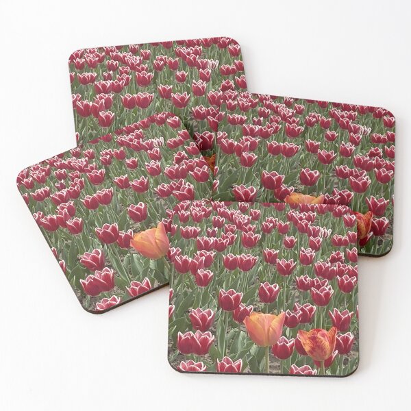 Item preview, Canadian Tulips designed and sold by Mychaila's Creations.
