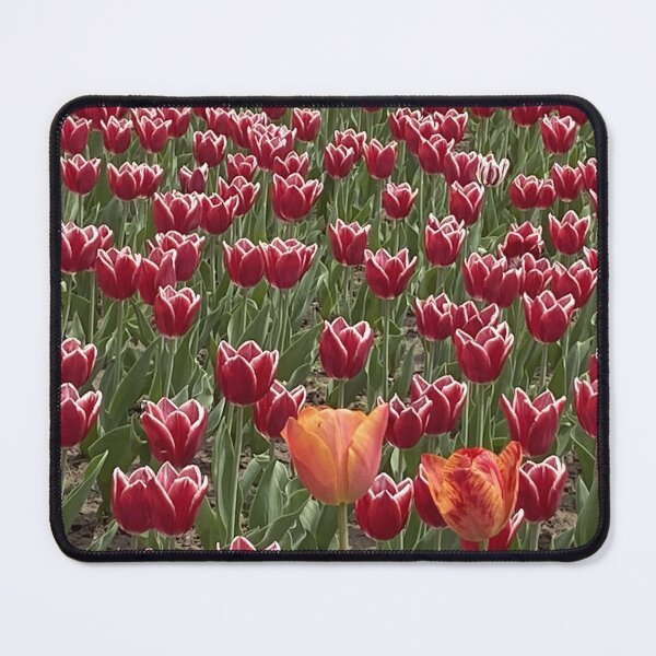 Item preview, Canadian Tulips designed and sold by Mychaila's Creations.