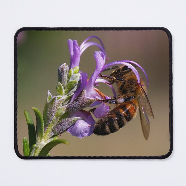 Item preview, Bee in rosemary flower designed and sold by BigAndRed.