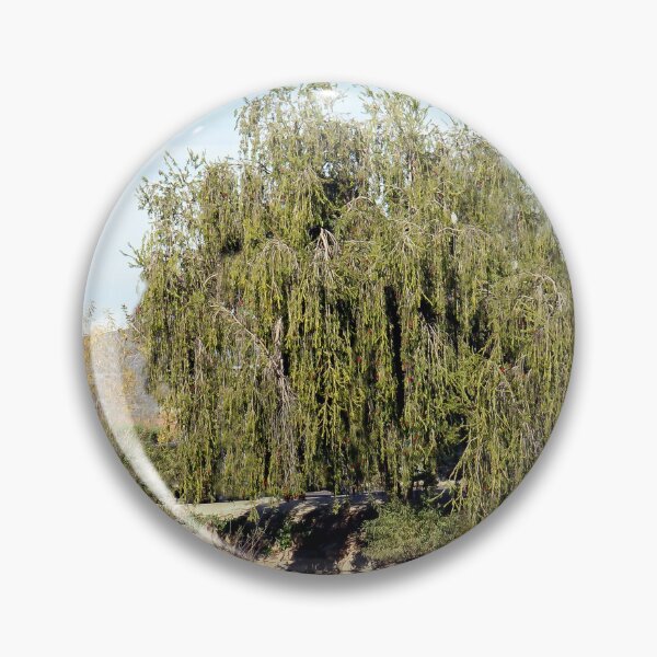 Item preview, Willow Reflections designed and sold by heatherfriedman.