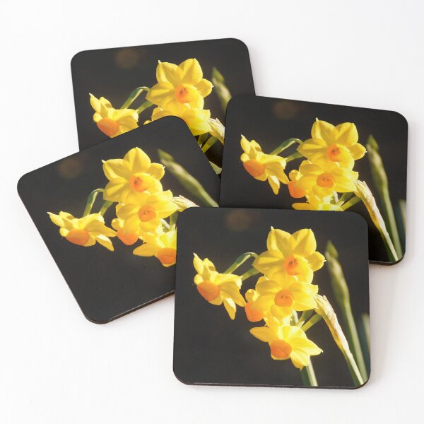Item preview, Bright Yellow Jonquils at Magpie Springs designed and sold by MagpieSprings.