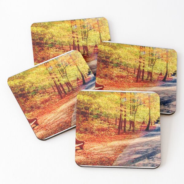 Item preview, An Empty Park Bench on a Nature Trail Awaits Autumn Visitors designed and sold by AMacGPhilly.