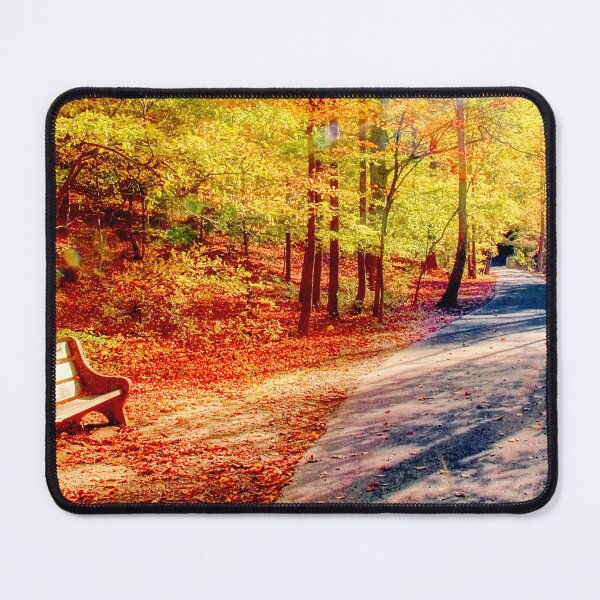 Item preview, An Empty Park Bench on a Nature Trail Awaits Autumn Visitors designed and sold by AMacGPhilly.