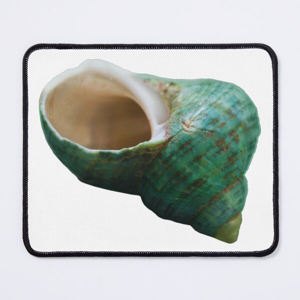 Item preview, Seashell designed and sold by di-Vera-Rosati.