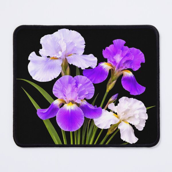 Item preview, Elegant Blooming Bearded Iris Bouquet Shapes Mania designed and sold by Shapes-Mania.