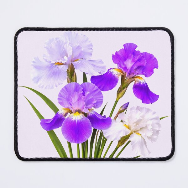 Item preview, Elegant Blooming Bearded Iris Bouquet  on White Shapes Mania designed and sold by Shapes-Mania.
