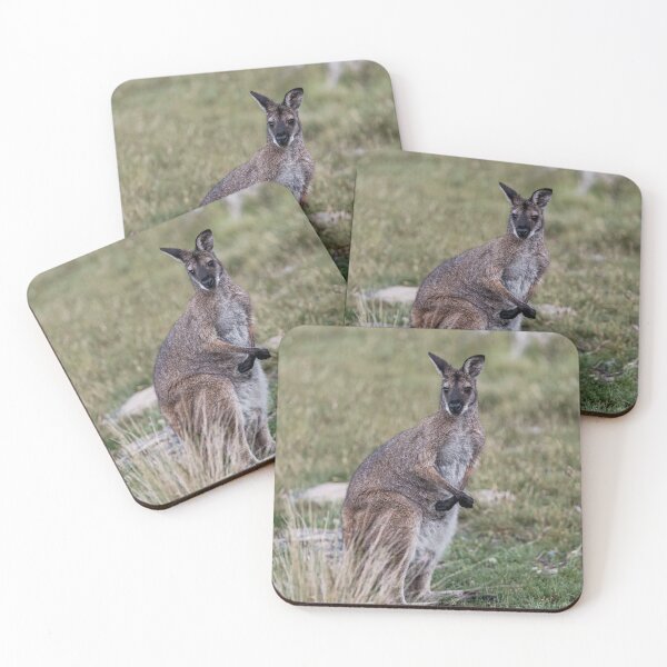 Item preview, Wallaby Pompeu Fabra University bNatural Habitat designed and sold by Mitchmount.