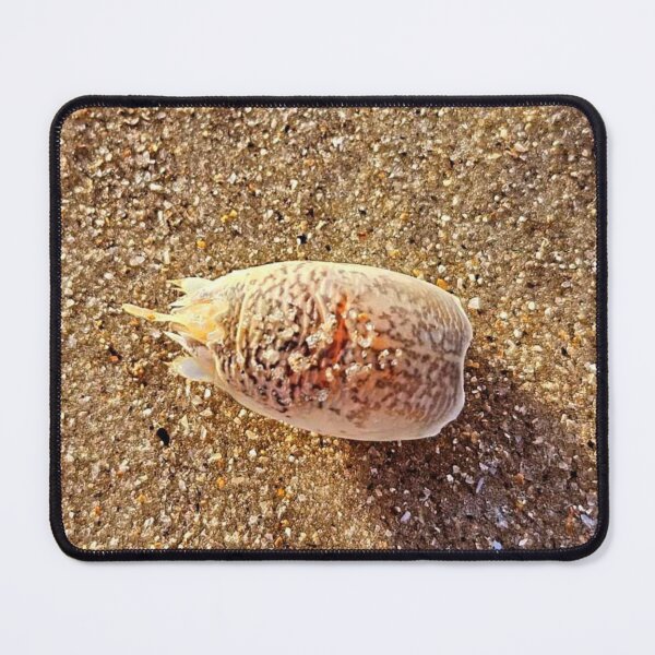 Item preview, Sea flea designed and sold by Courtney Croxall.