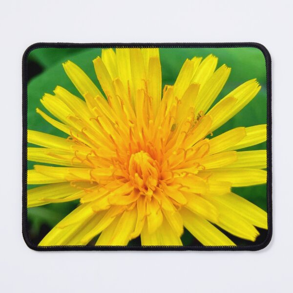 Item preview, Dandelion designed and sold by Courtney Croxall.