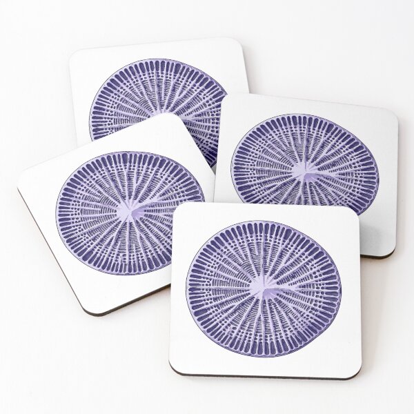 Item preview, Indigo Diatom Radial Microscopy Science Print designed and sold by Bio Tech Art.