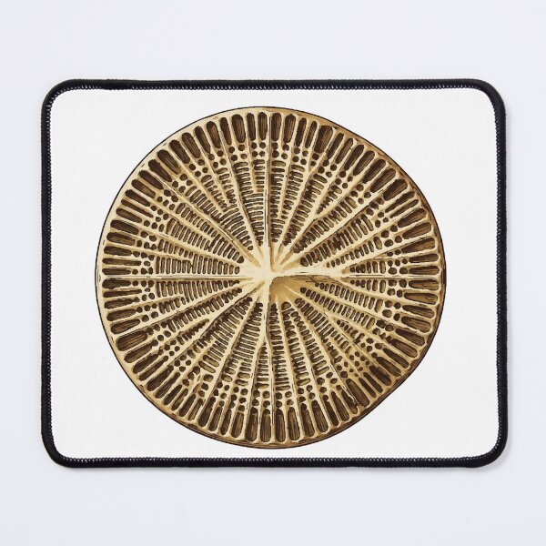 Item preview, Antique Diatom Radial Victorian Science Print designed and sold by Bio Tech Art.