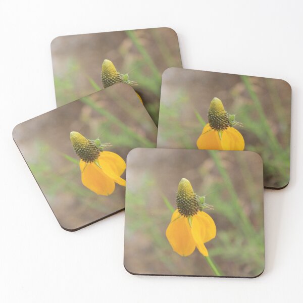 Item preview, Gray-head Wildflower Macro designed and sold by Blossom-Breeze.