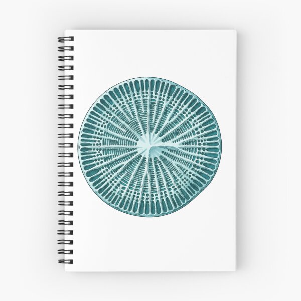 Item preview, Teal Diatom Microscopy Marine Biology Print designed and sold by Bio Tech Art.