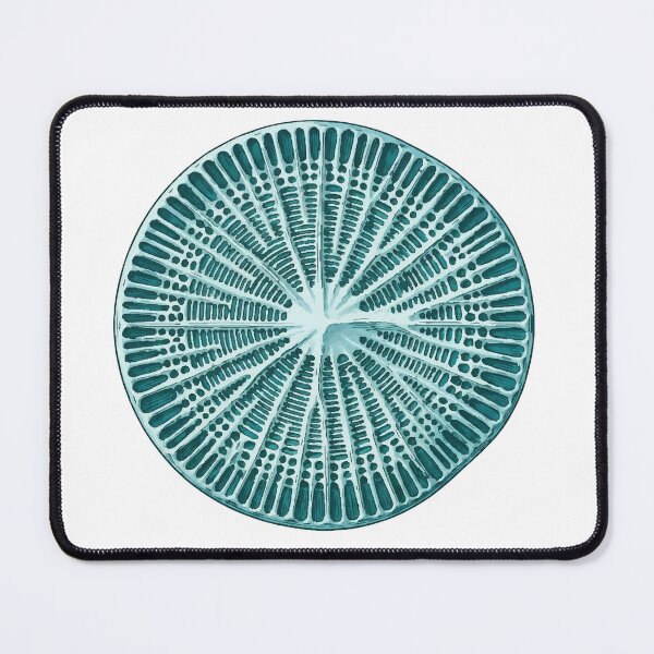 Item preview, Teal Diatom Microscopy Marine Biology Print designed and sold by Bio Tech Art.