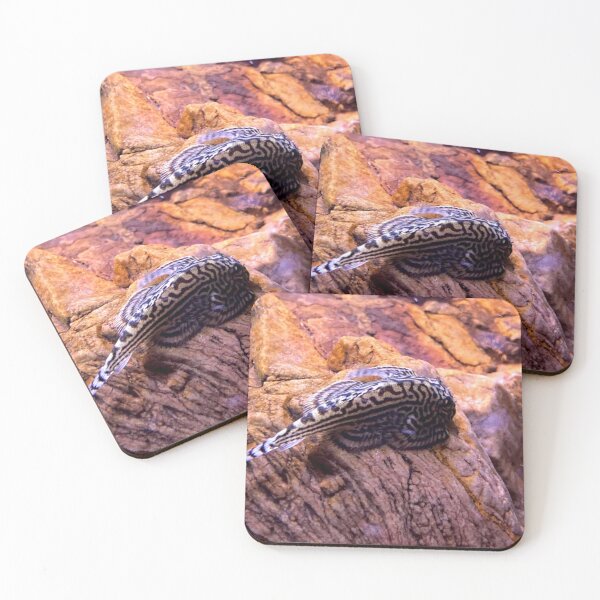 Item preview, Hill stream loach designed and sold by Courtney Croxall.