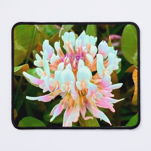 Item preview, Pink clover designed and sold by Courtney Croxall.