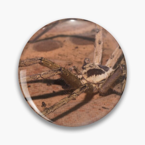 Item preview, Huntsman spider designed and sold by ROSE ANN BANILAR.