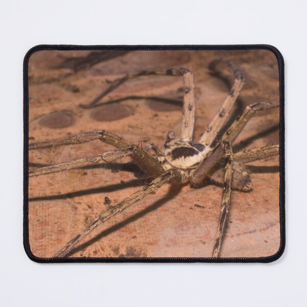Item preview, Huntsman spider designed and sold by ROSE ANN BANILAR.