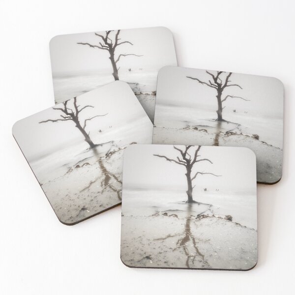 Item preview, Edisto 26/2 designed and sold by DiFigianoPhoto.