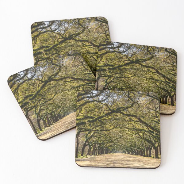 Item preview, Wormsloe Oak Alley designed and sold by DiFigianoPhoto.