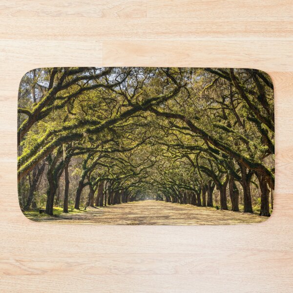 Item preview, Wormsloe Oak Alley designed and sold by DiFigianoPhoto.