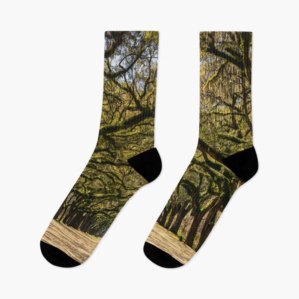 Item preview, Wormsloe Oak Alley designed and sold by DiFigianoPhoto.