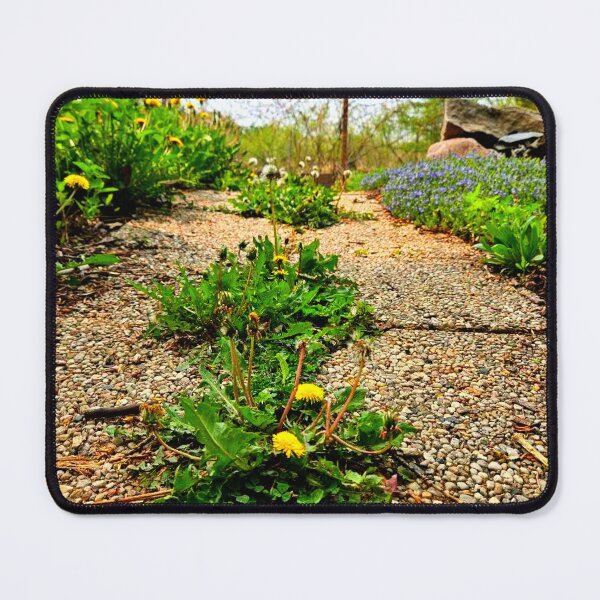 Item preview, Streetyard designed and sold by Courtney Croxall.