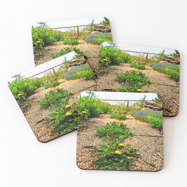 Item preview, Streetyard designed and sold by Courtney Croxall.