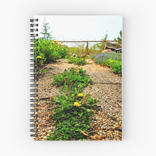 Item preview, Streetyard designed and sold by Courtney Croxall.