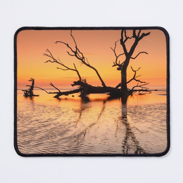 Item preview, Hunting Island 26/1 designed and sold by DiFigianoPhoto.