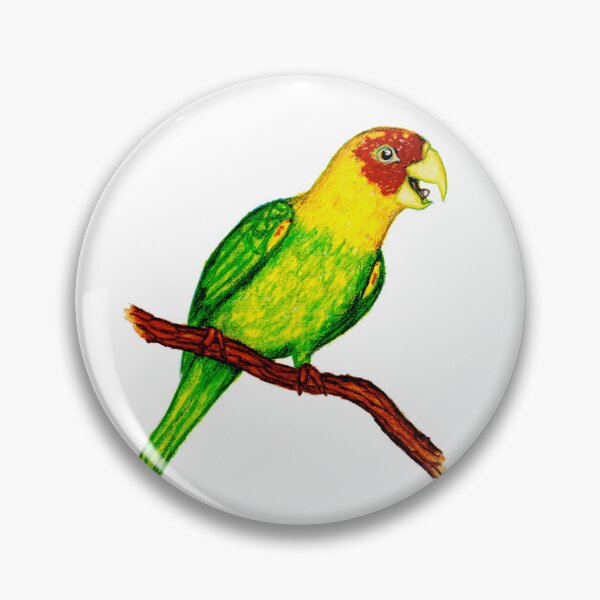 Item preview, lost species archive: carolina parakeet designed and sold by LucilleErebus.