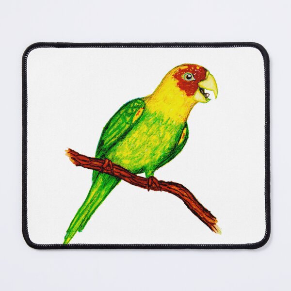 Item preview, lost species archive: carolina parakeet designed and sold by LucilleErebus.