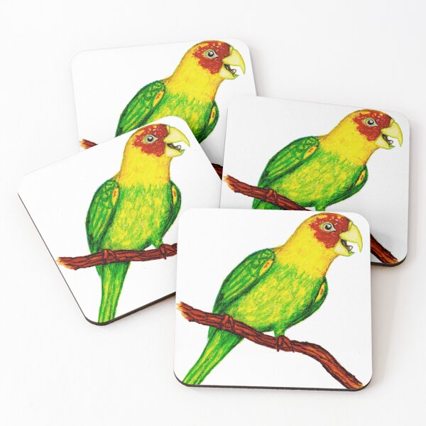 Item preview, lost species archive: carolina parakeet designed and sold by LucilleErebus.