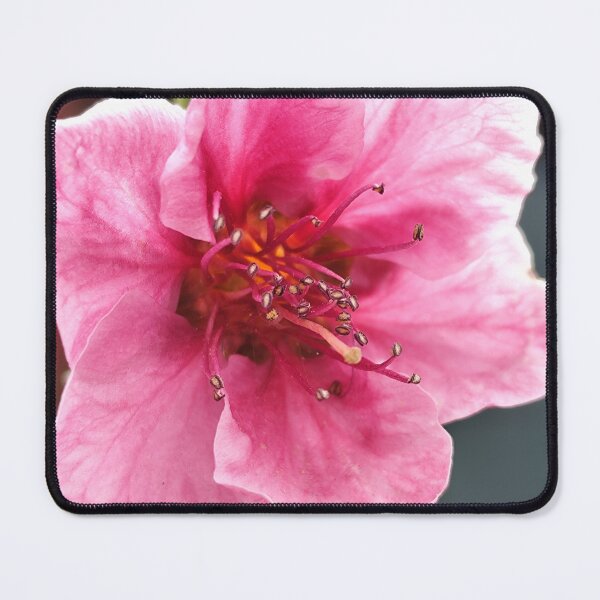 Item preview, Amazing Pink Peach Blossom designed and sold by vtspatial.