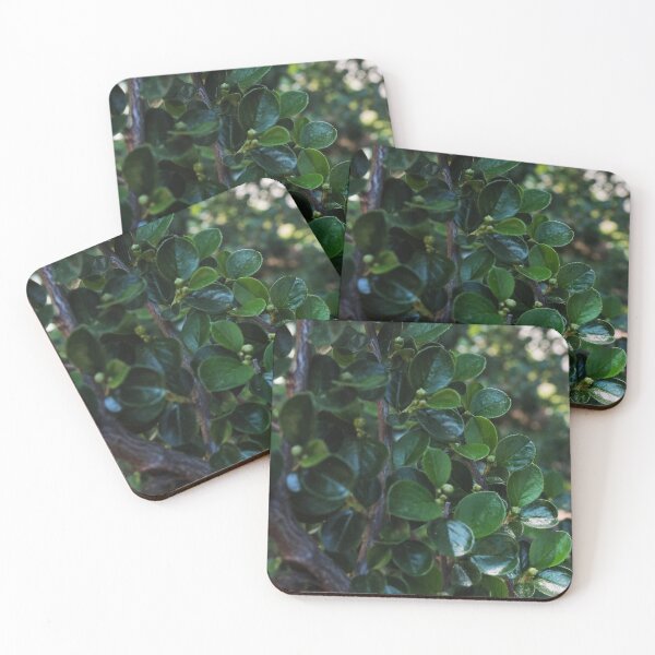 Item preview, Deep Green Plant Texture for Nature Lovers designed and sold by vikko-art.
