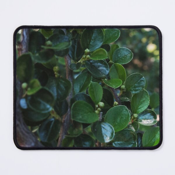 Item preview, Deep Green Plant Texture for Nature Lovers designed and sold by vikko-art.
