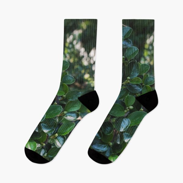 Item preview, Deep Green Plant Texture for Nature Lovers designed and sold by vikko-art.