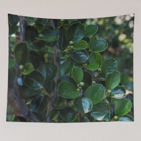 Item preview, Deep Green Plant Texture for Nature Lovers designed and sold by vikko-art.