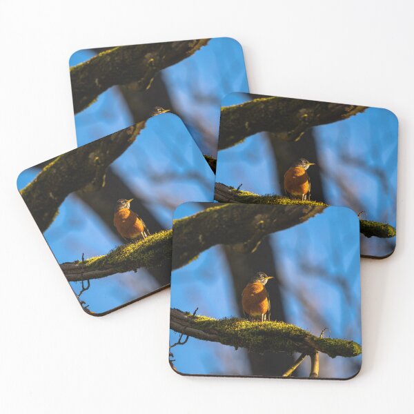 Item preview, Bask in the Light designed and sold by Jordan-K-Photo.