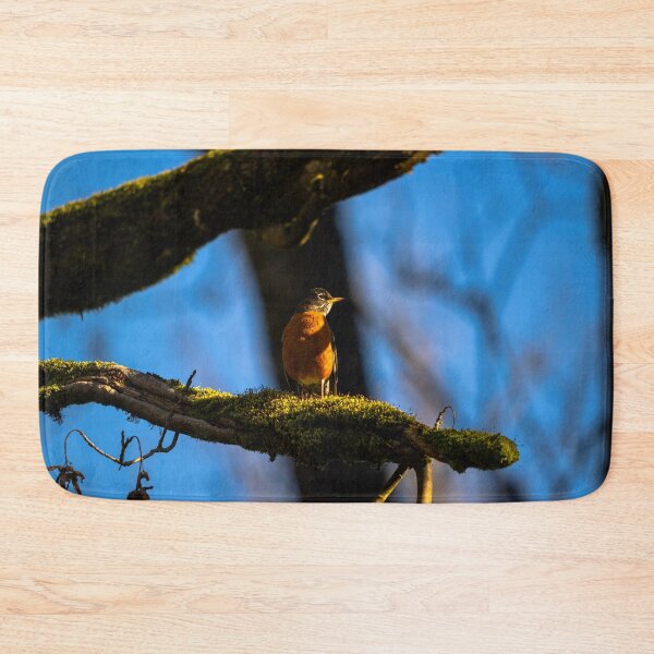 Item preview, Bask in the Light designed and sold by Jordan-K-Photo.