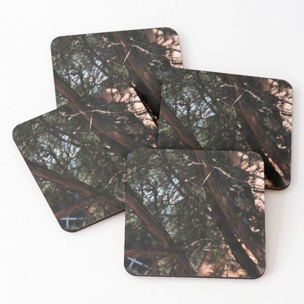 Item preview, Hidden Sparrow in Tangled Branches - Goblincore Nature Photo designed and sold by vikko-art.