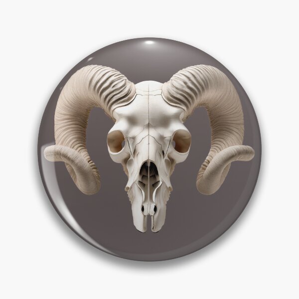 Item preview, Front-facing ram skull with large curled horns designed and sold by ChernivtsiSkoda.