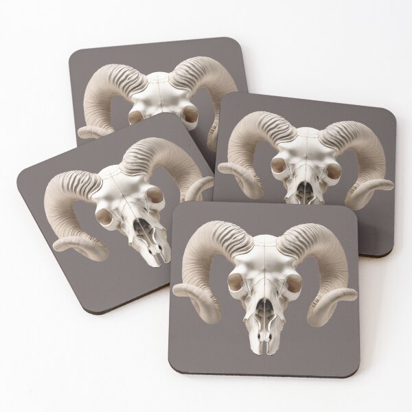 Item preview, Front-facing ram skull with large curled horns designed and sold by ChernivtsiSkoda.