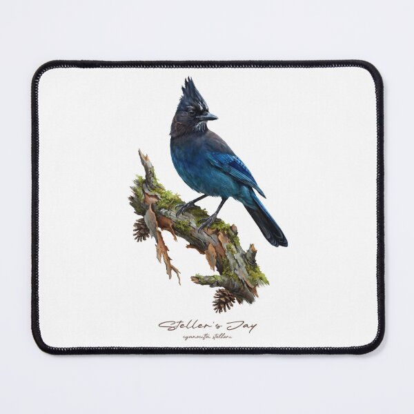 Item preview, Steller's Jay on Mossy Pine Tree designed and sold by Takeda-art.