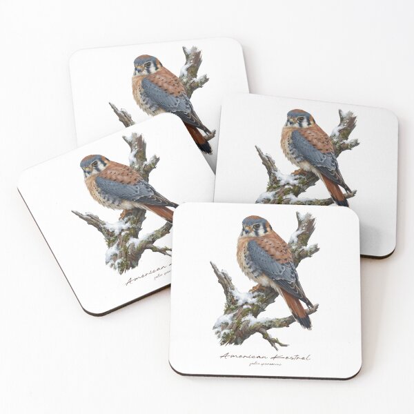 Item preview, American Kestrel on Tree in Winter designed and sold by Takeda-art.