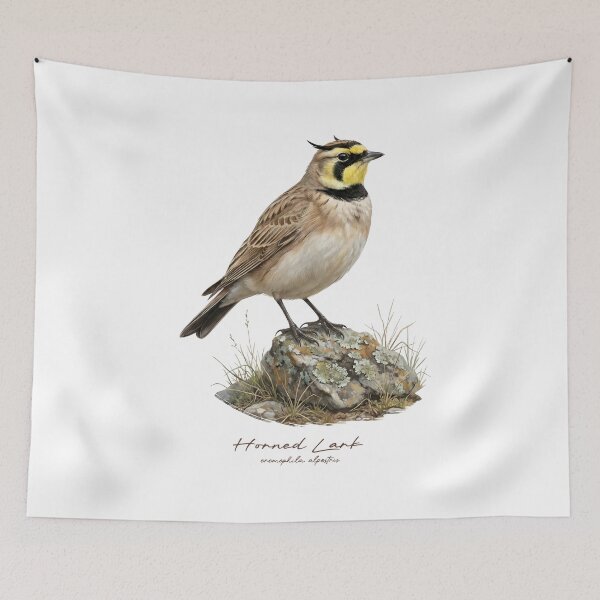 Item preview, Horned Lark on a Rock designed and sold by Takeda-art.