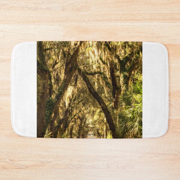 Item preview, Coffin Poin designed and sold by DiFigianoPhoto.